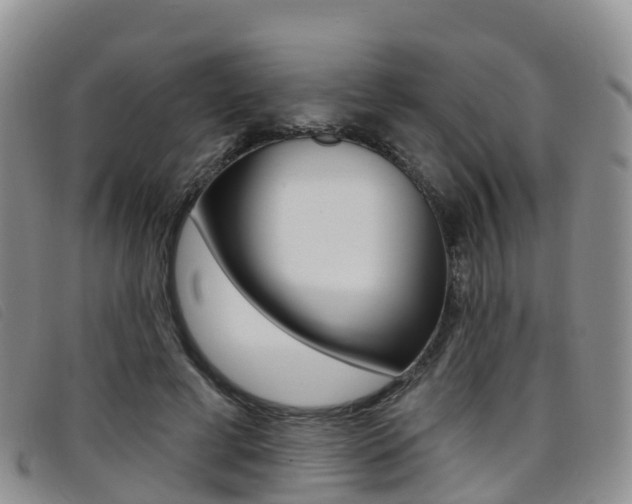 X0000096720593200802051102