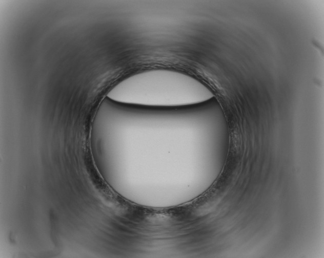 X0000096720594200802051102