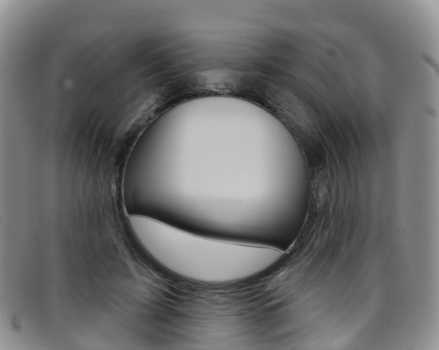 X0000096720595200802051102