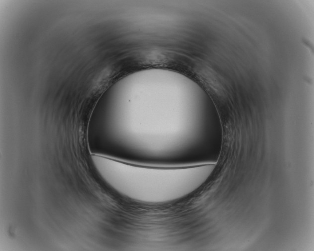 X0000096720597200802051102