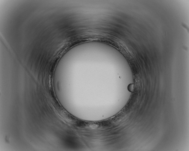 X0000096720598200802051102