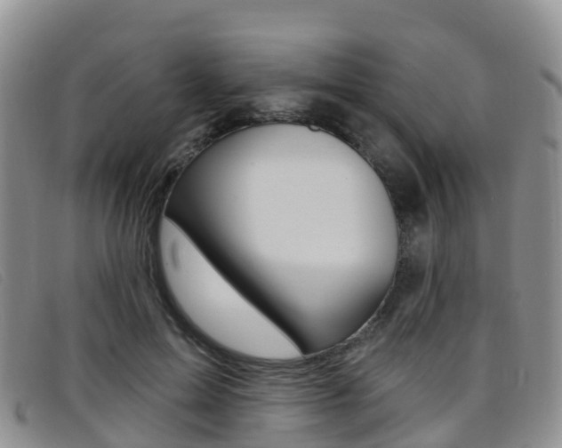 X0000096720599200802051102