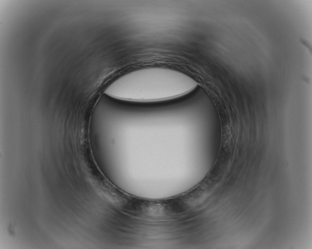 X0000096720600200802051102