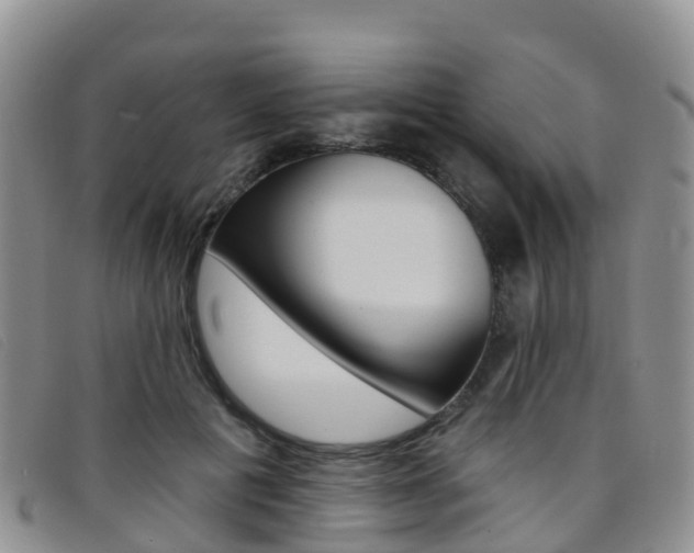 X0000096720601200802051102