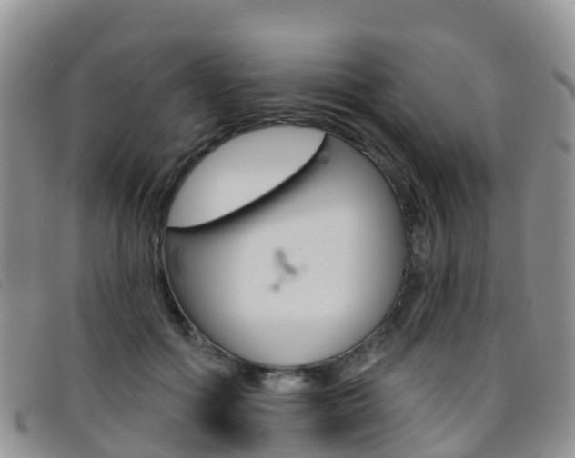 X0000096720602200802051102