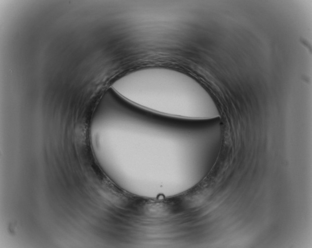 X0000096720604200802051102