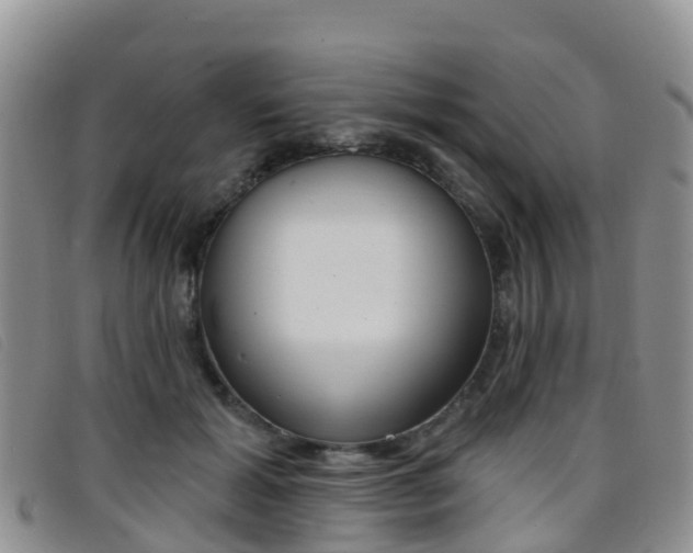 X0000096720605200802051101
