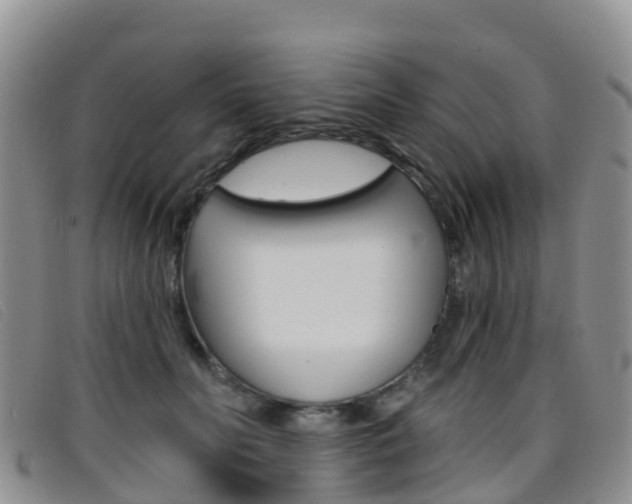 X0000096720606200802051101