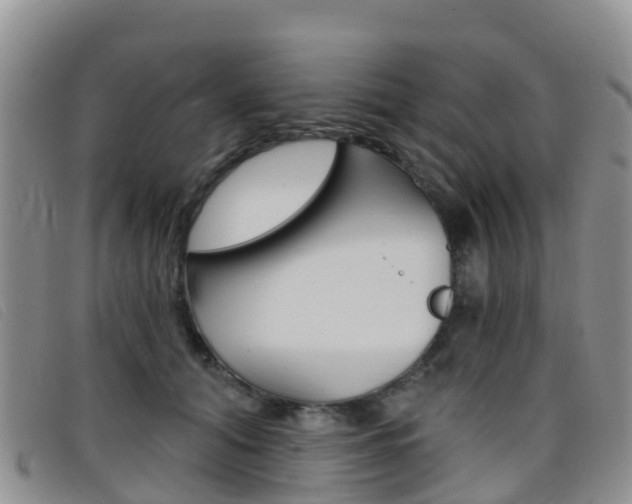 X0000096720608200802051101