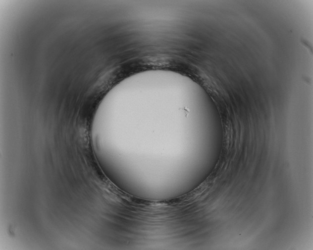 X0000096720609200802051101