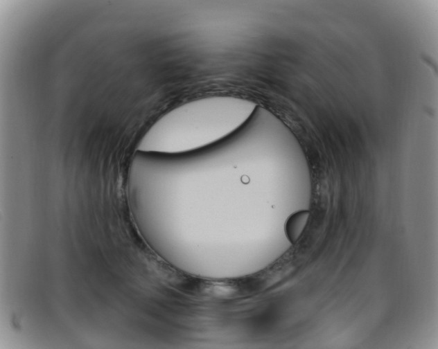 X0000096720610200802051101