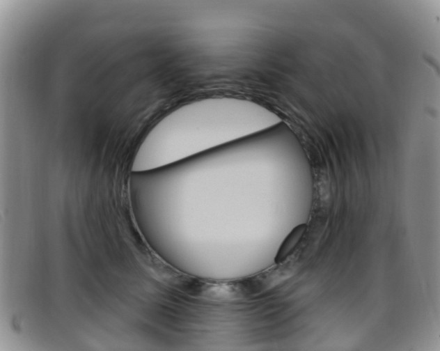X0000096720611200802051101