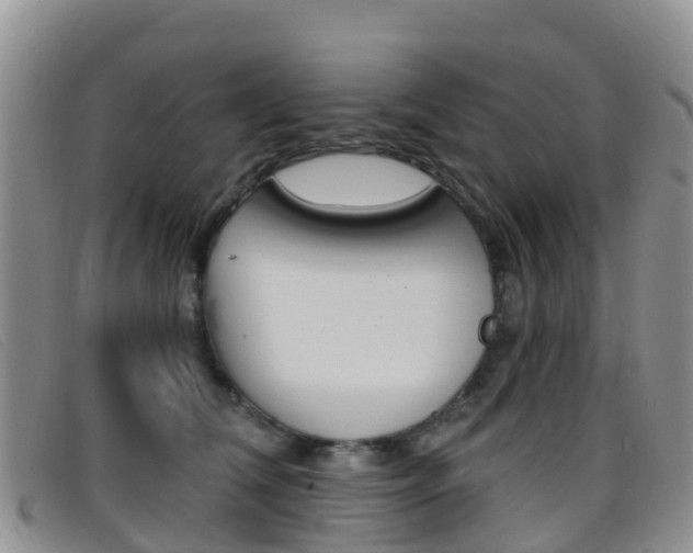 X0000096720612200802051101