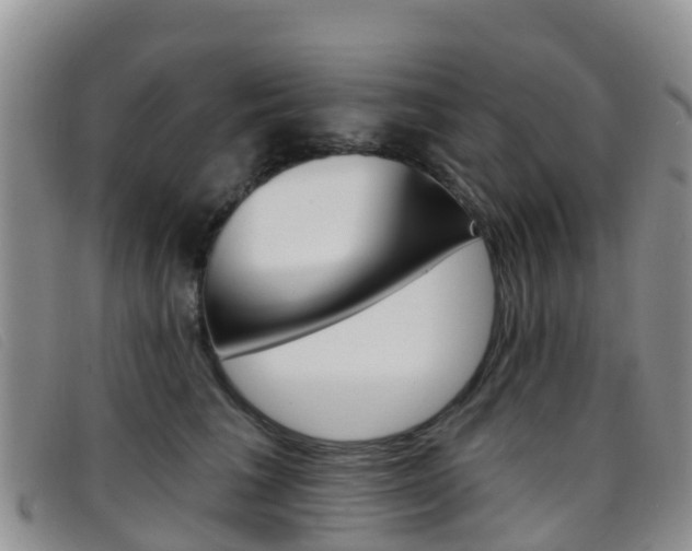 X0000096720613200802051101