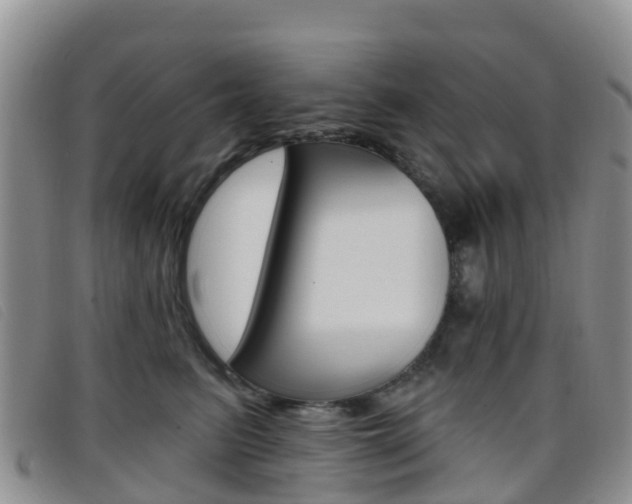 X0000096720615200802051101