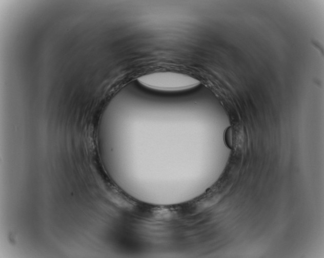 X0000096720616200802051101