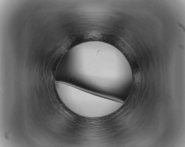 X0000096720617200802051101