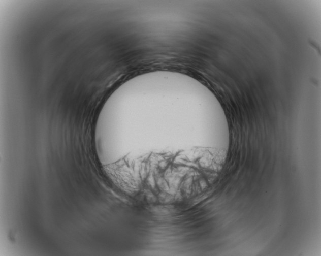 X0000096720618200802051101