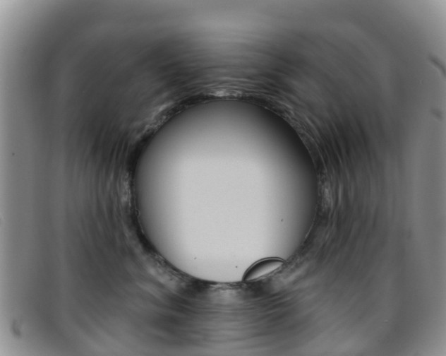 X0000096720620200802051101