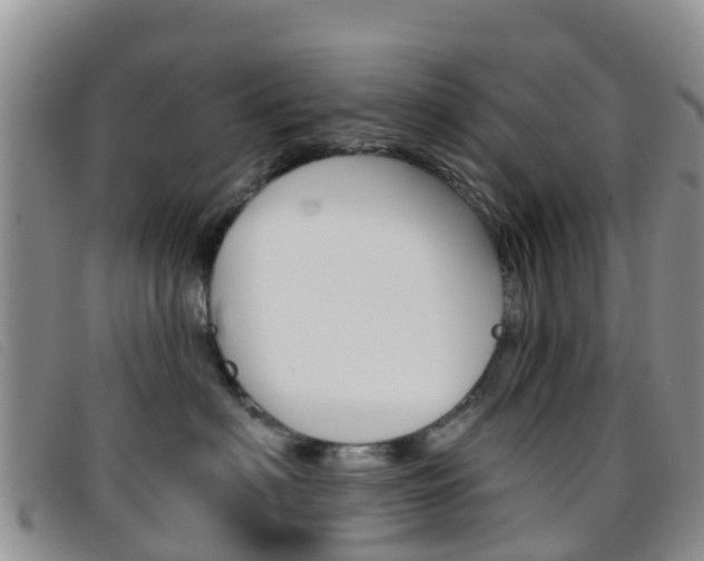 X0000096720622200802051101