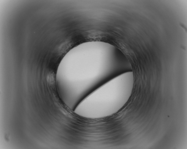 X0000096720623200802051101