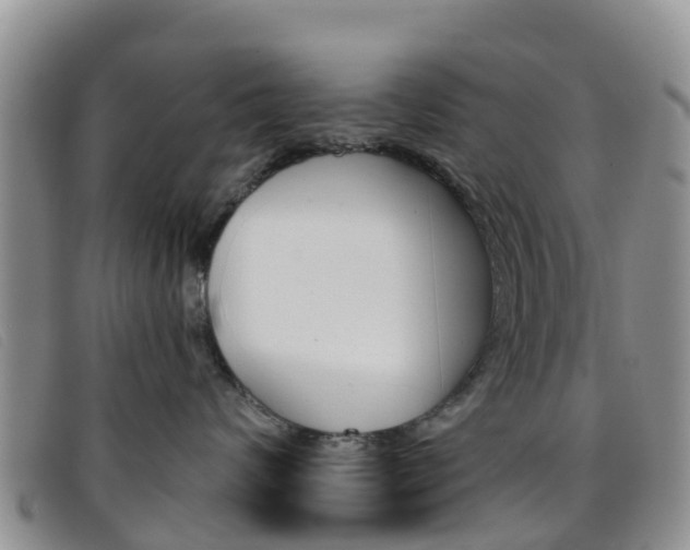 X0000096720624200802051101
