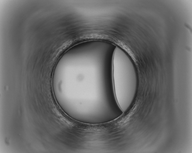 X0000096720625200802051101