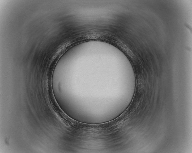 X0000096720626200802051101