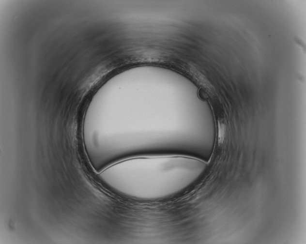 X0000096720627200802051101
