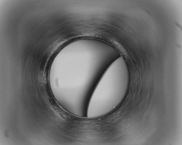 X0000096720628200802051101