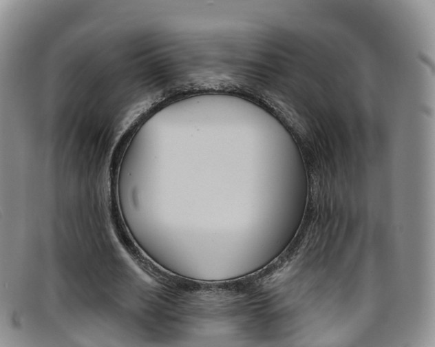 X0000096720630200802051101