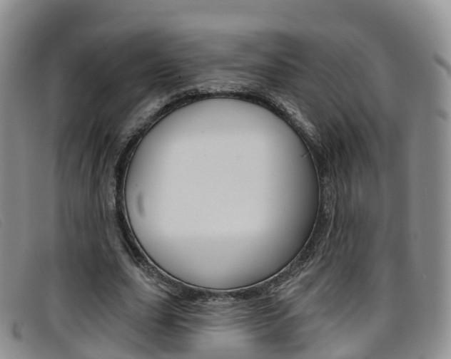 X0000096720631200802051101