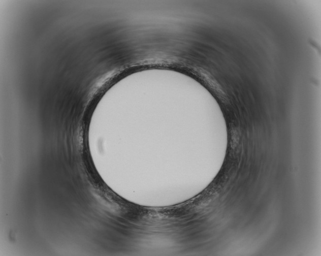 X0000096720632200802051101