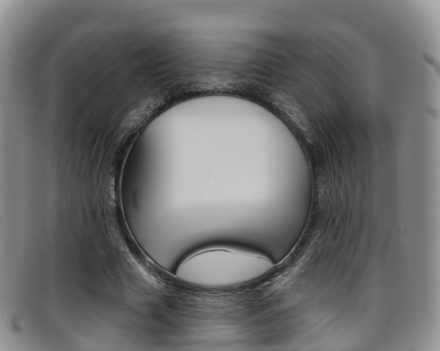 X0000096720633200802051101