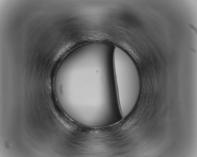 X0000096720634200802051101
