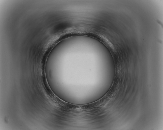 X0000096720635200802051101