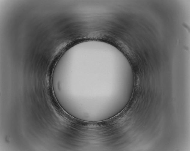 X0000096720636200802051101