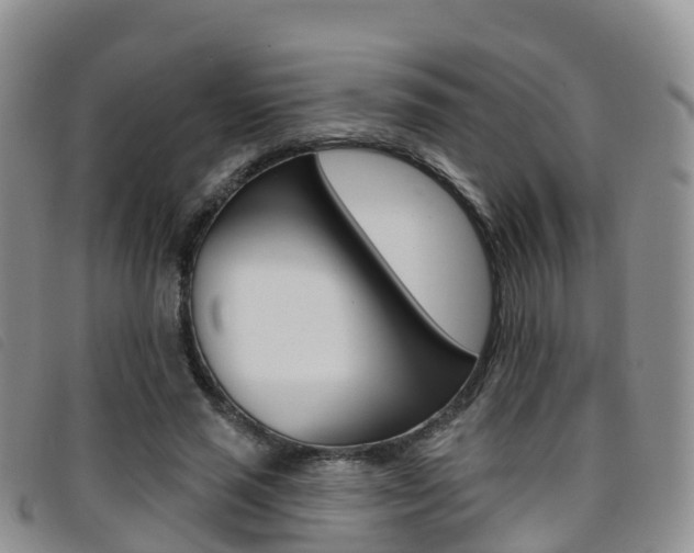 X0000096720637200802051101