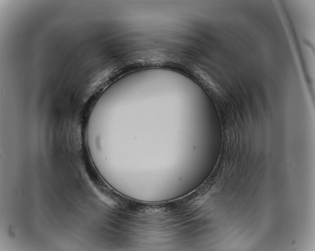 X0000096720638200802051101