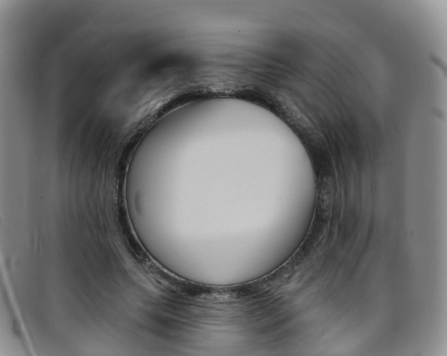 X0000096720639200802051101