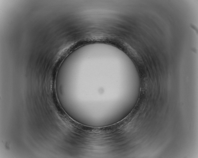 X0000096720640200802051101