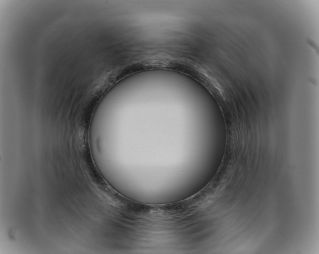 X0000096720641200802051101