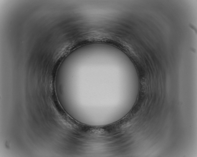 X0000096720642200802051101