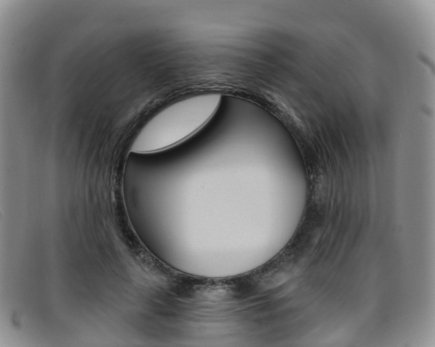 X0000096720643200802051101