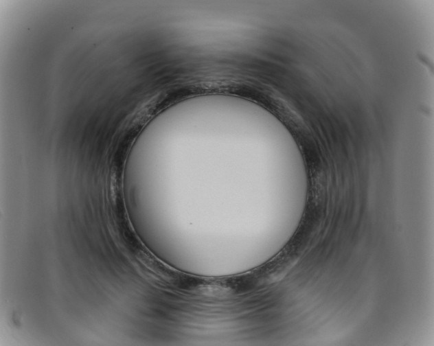 X0000096720644200802051101