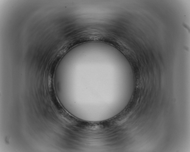 X0000096720646200802051101