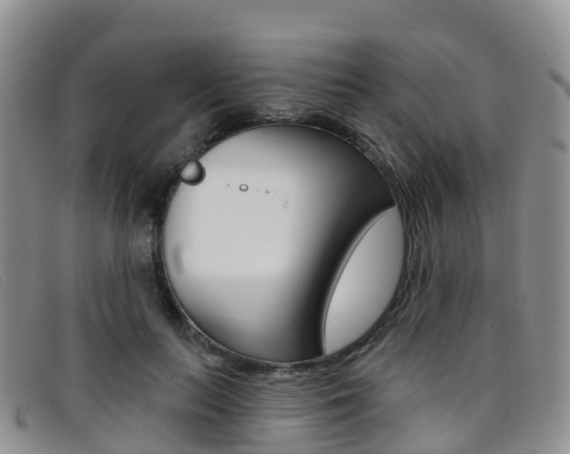 X0000096720647200802051101