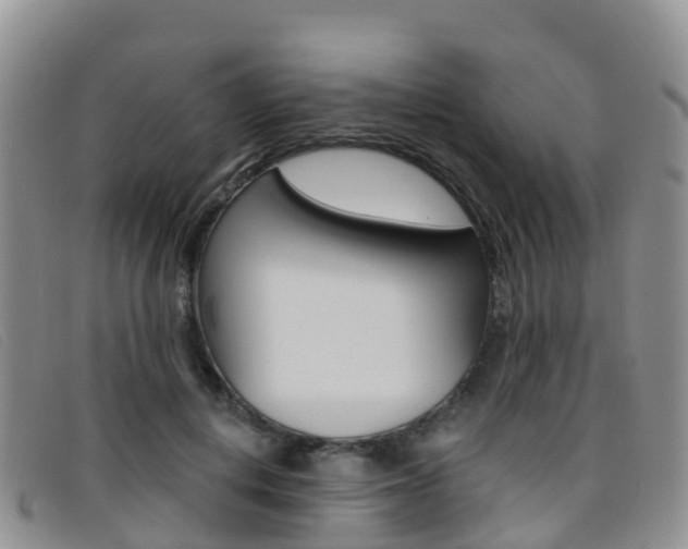 X0000096720648200802051101