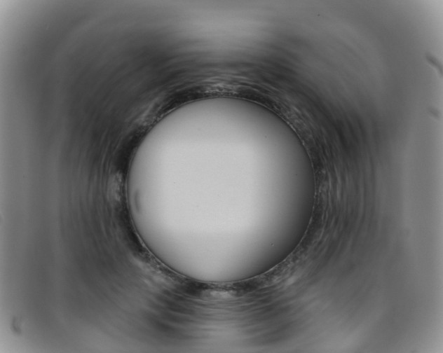 X0000096720649200802051101