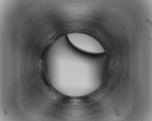 X0000096720650200802051101